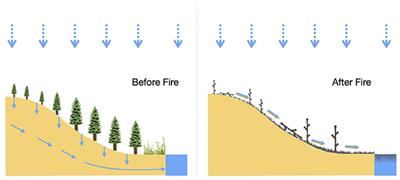 Pyrogenic Carbon Erosion: Implications for Stock and Persistence of Pyrogenic Carbon in Soil